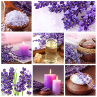 Lavender Oils and Therapy