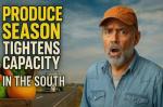 Southern freight lanes are heating up! Produce season is in full swing and trucks are in short supply — rates are rising and competition is fierce