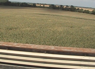 wheat field along the highway