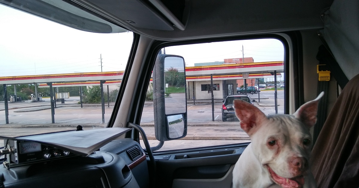 Courtney is ready to go trucking!