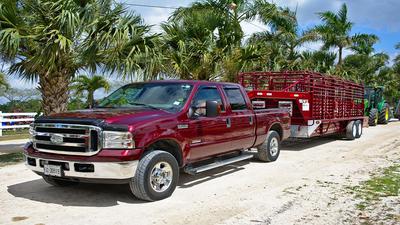 Pick up ready to haul cattle