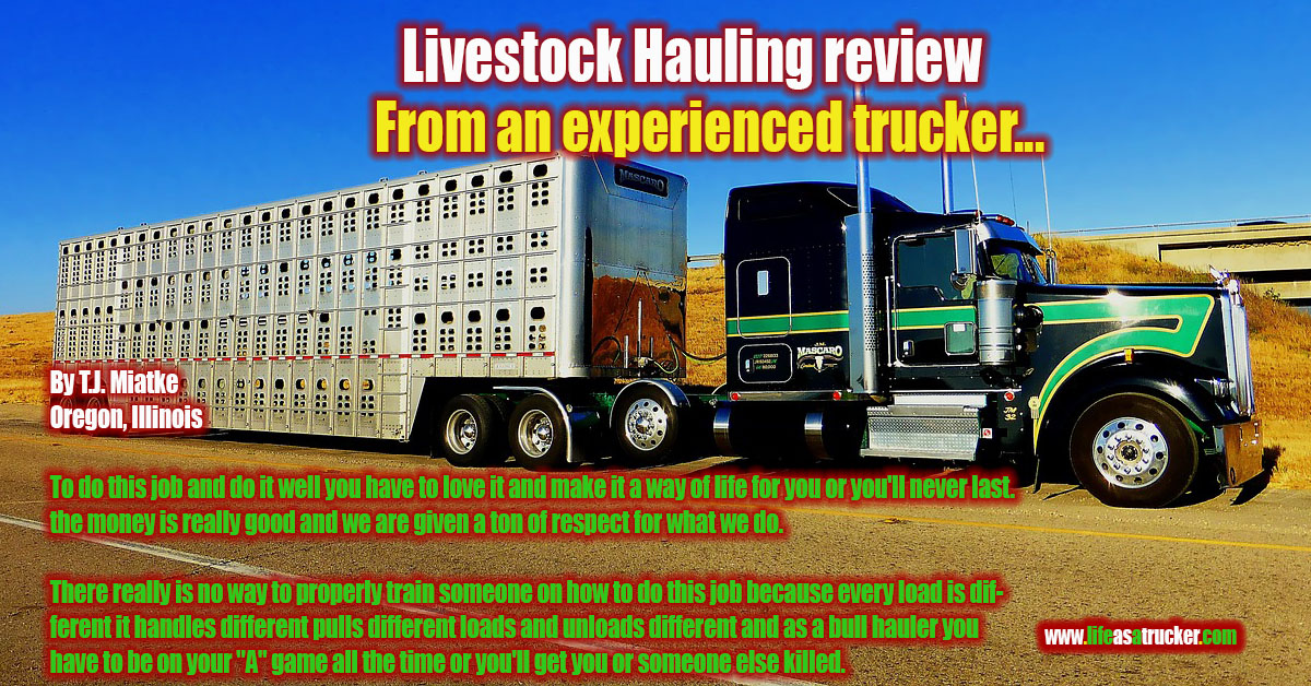 Hauling Livestock is not for everyone